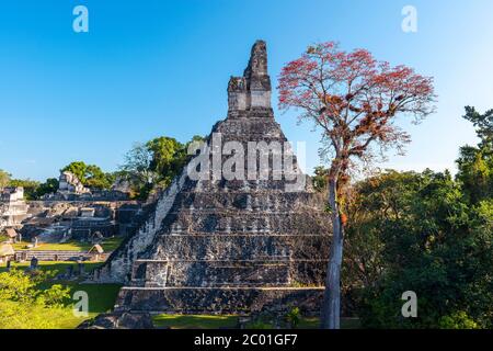 Tempel eine Pyramide oder Tempel des Großen Jaguar, Maya archäologische Stätte von Tikal, Guatemala. Stockfoto