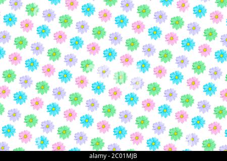 Rosa, blau und violett Kamille oder Gerbera Blumenmuster. Sommerblumen Stockfoto
