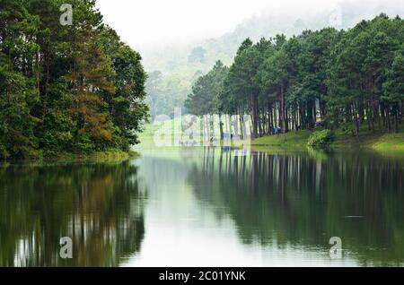Morgenstimmung Campingplatz auf einem See im Pinienwald Stockfoto