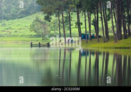 Morgenstimmung Campingplatz auf einem See im Pinienwald Stockfoto