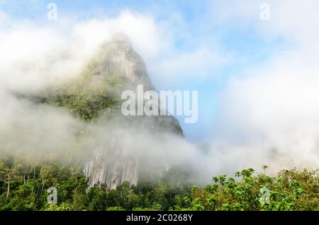 Üppige hohe Berge, bedeckt von Nebel Stockfoto