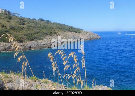 Blick auf das Tirrenische Meer mit Felsen und Vegetation. Stockfoto