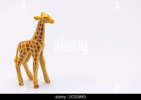 Nahaufnahme einer Giraffe aus einem Plastikspielzeug isoliert auf weißem Hintergrund Stockfoto