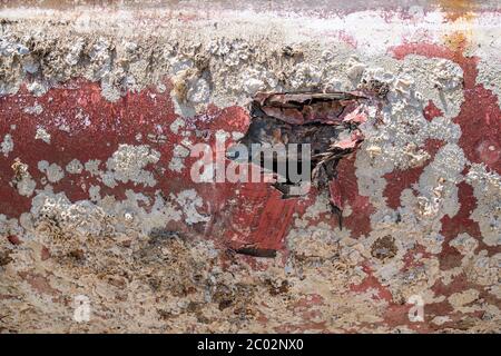 Altes Schiffswrack Detail mit Muscheln überwuchert Stockfoto