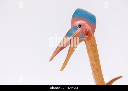 Nahaufnahme einer plastischen Pterodactyl-farbigen Figur, isoliert auf weißem Hintergrund Stockfoto