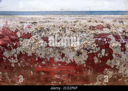 Altes Schiffswrack Detail mit Muscheln überwuchert Stockfoto