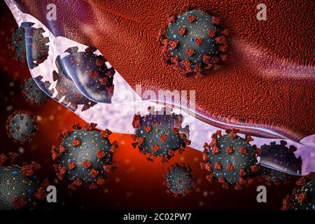 Gruppe von Coronavirus oder covid 19 Viruszellen, die eine Zelle 3D-Rendering-Illustration eindringen oder infizieren. Mikrobiologie, Medizin, Biomedizin, Biologie, viro Stockfoto