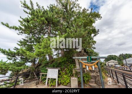 Toyama Bay Onnaiwa Rock bei Amaharashi COAs, nahe Takaoka in der Präfektur Toyama ist ein schöner Ort.Japan Stockfoto