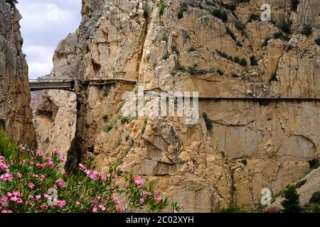 Caminito del Rey öffnet wieder nach der Covi-19-Sperre, El Chorro, Malaga, Naturpark Ardales, Andalusien, Spanien, Europa Stockfoto