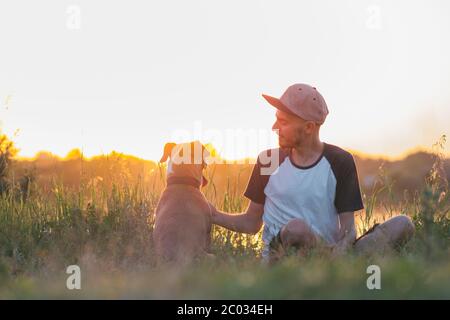 Der Mensch interagiert mit seinem Hund bei Sonnenuntergang, im Sommer. Haustiere und menschliche Freundschaft, kümmern, verbringen Zeit zusammen. Stockfoto