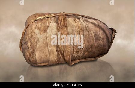 Seltenes altägyptisches Mumienbündel, Nekropole von Gebelein, Altes Königreich, 4. - 5. Dynastie (2543-2305 v. Chr.). Ägyptisches Museum, Turin. Grauer Hintergrund. Stockfoto