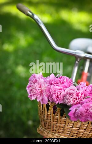 Oldtimer Fahrrad mit Korb mit Pfingstrose Blumen Stockfoto