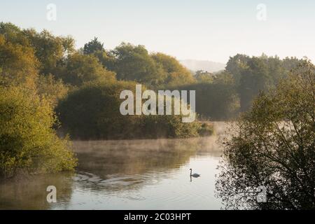 Ein nebliger Hooksmarsh See im River Lee Country Park, Essex, Großbritannien Stockfoto