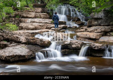 Frau auf Felsen beobachtet Lower East Gill Force, wo sie in die River Swale in der Nähe von Keld, Yorkshire Dales National Park, Großbritannien. Stockfoto