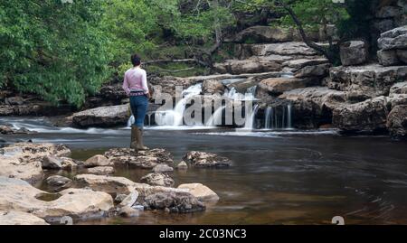 Frau auf Felsen beobachtet Lower East Gill Force, wo sie in die River Swale in der Nähe von Keld, Yorkshire Dales National Park, Großbritannien. Stockfoto