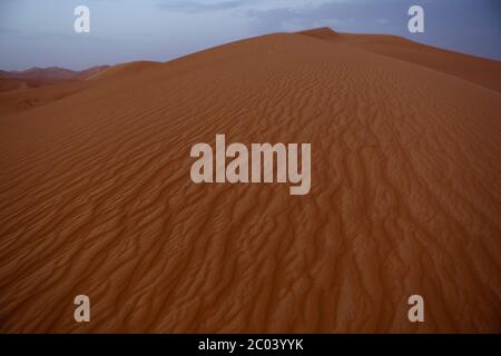 Sanddünen in der Sahara, Nordafrika. Stockfoto
