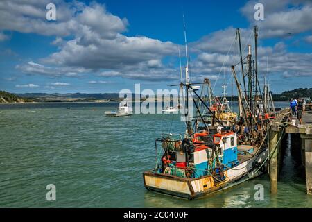 Fischerboote am Raglan Wharf in Raglan, Waikato Region, North Island, Neuseeland Stockfoto