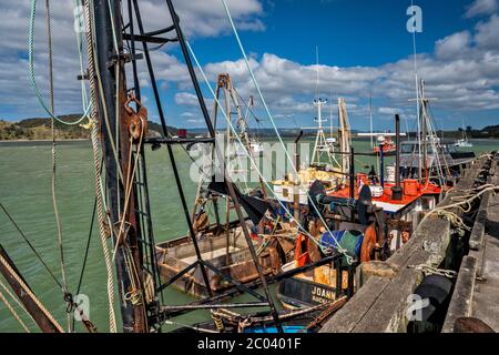 Fischerboote am Raglan Wharf in Raglan, Waikato Region, North Island, Neuseeland Stockfoto