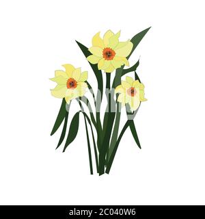 Ein Bouquet von drei gelben Narzissen mit grünen Blättern. Vektorgrafiken. Stock Vektor