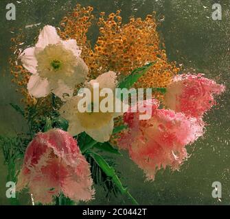 Frühlingsstrauß aus Narzissen, Tulpen und Mimosen hinter Glas der in Regen gefüllt Stockfoto