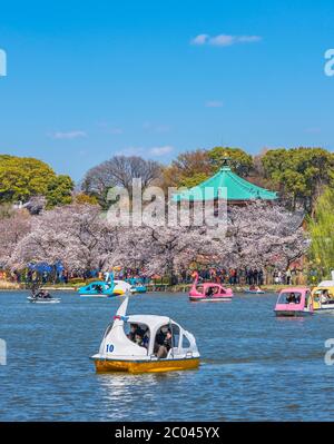 tokio, japan - märz 31 2020: Japanische Familie mit Gesichtsmaske beim Tretboot-Tretboot im Shinobazu-Teich vor der Bentendo-Halle von Kaneiji Stockfoto