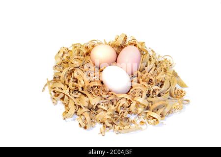 Hühnereier in einem Nest aus Holzspänen Stockfoto