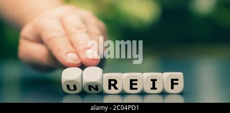 Hand dreht Würfel und ändert das deutsche Wort 'unreif' ('unreif') in 'reif' ('mature'). Stockfoto