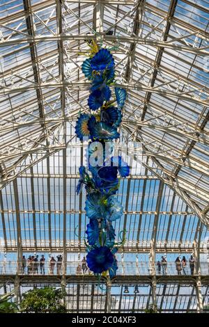 The 'Temperate House Persians', eine hängende Glasskulptur von Dale Chihuly, Temperate House, Royal Botanic Gardens, Kew, Richmond upon Thames, Großbritannien. Stockfoto