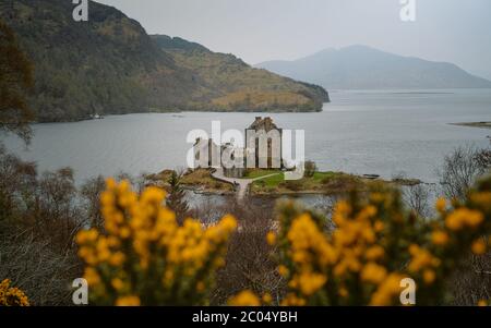 Blumen vor dem prächtigen Eilean Donan Castle, Schottland. Die beliebte steinerne Brücke über Wasser mit massiven Wasserbüschel Stockfoto