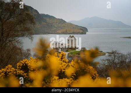 Blumen vor dem prächtigen Eilean Donan Castle, Schottland. Die beliebte steinerne Brücke über Wasser mit massiven Wasserbüschel Stockfoto