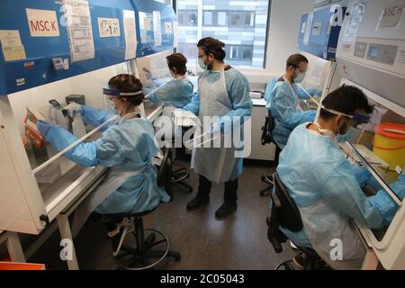 Wissenschaftler während ihrer Arbeit am Lighthouse Laboratory am Queen Elizabeth University Hospital in Glasgow, das Coronavirus-Abstriche mit vermuteten COVID-19-Infektionen im anhaltenden Kampf gegen das Coronavirus empfängt und analysiert. Schottland setzt in Phase eins des Plans der schottischen Regierung zur schrittweisen Aufhebung der Lockdown fort. Stockfoto