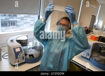 Wissenschaftler während ihrer Arbeit am Lighthouse Laboratory am Queen Elizabeth University Hospital in Glasgow, das Coronavirus-Abstriche mit vermuteten COVID-19-Infektionen im anhaltenden Kampf gegen das Coronavirus empfängt und analysiert. Schottland setzt in Phase eins des Plans der schottischen Regierung zur schrittweisen Aufhebung der Lockdown fort. Stockfoto