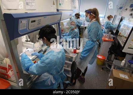 Wissenschaftler während ihrer Arbeit am Lighthouse Laboratory am Queen Elizabeth University Hospital in Glasgow, das Coronavirus-Abstriche mit vermuteten COVID-19-Infektionen im anhaltenden Kampf gegen das Coronavirus empfängt und analysiert. Schottland setzt in Phase eins des Plans der schottischen Regierung zur schrittweisen Aufhebung der Lockdown fort. Stockfoto