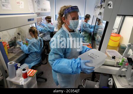 Wissenschaftler während ihrer Arbeit am Lighthouse Laboratory am Queen Elizabeth University Hospital in Glasgow, das Coronavirus-Abstriche mit vermuteten COVID-19-Infektionen im anhaltenden Kampf gegen das Coronavirus empfängt und analysiert. Schottland setzt in Phase eins des Plans der schottischen Regierung zur schrittweisen Aufhebung der Lockdown fort. Stockfoto