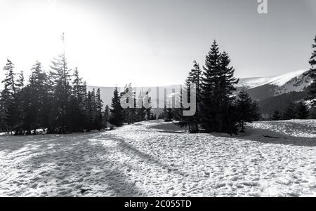 Schöne Aussicht auf den Hang des in Riesengebirge mit Blick auf den Gipfel des Snezka-Gebirges und bunten bewölkten Himmel Stockfoto