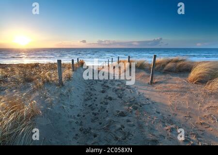 Weg auf Sand zum Meeresstrand Stockfoto