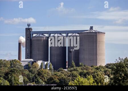 Blick über die Baumkronen zur Zuckerrübenfabrik British Sugar in Bury St Edmunds, Suffolk. Die größte gemahlene Zuckerfabrik in Großbritannien. Stockfoto