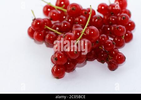 Rote Johannisbeere isoliert auf weißem Hintergrund Stockfoto