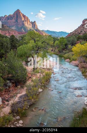 Der Virgin River fließt von Bäumen durch den Zion National Park mit Blick auf den Watchman Berg. Stockfoto