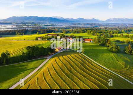 Gemähte Wiese und Weiler Hofstätt, Kulturlandschaft bei Eurasburg, Tölzer Land, Drohnenaufnahme, Voralpen, Oberbayern, Bayern, Deutschland, Stockfoto