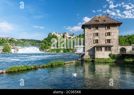 Rheinfall mit Schloss Laufen und Schlössli Woerth, bei Schaffhausen, Kanton Schaffhausen, Schweiz Stockfoto