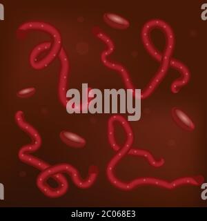 Ebola-Virus in Blut Set 3D, realistischer Stil. Makroansicht von Mikroorganismen. Vektorgrafik Stock Vektor