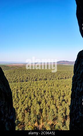 Durch eine Wand auf die grünen Bäume in einem Wald mit klarem blauen Himmel schauen. Stockfoto