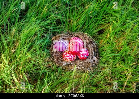 Ostereier aus Deutschland handgefertigt mit Wachstechnik, alte ostdeutsche Tradition, Handwerkskunst, maßgefertigte ostereier, sorbische und obere und untere Stockfoto