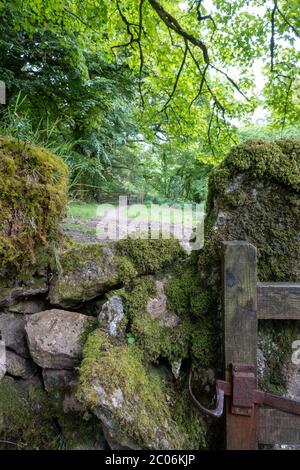 Metallriegel auf Holztor für öffentlichen Fußweg Stockfoto