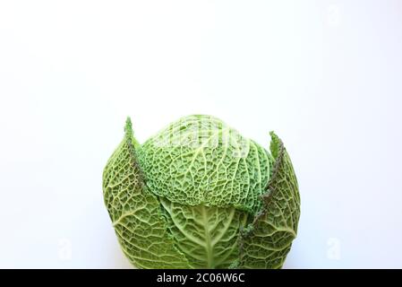 Gemüsekonzept. Frische grüne savoy Kohlköpfe isoliert auf weißem Hintergrund. Draufsicht, Kopierbereich. Stockfoto