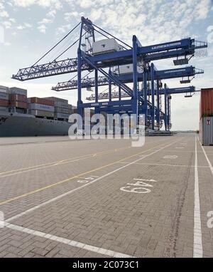 Container Be- und Entladen im Hafen Felixstowe, East Anglia, Ostengland, Großbritannien Stockfoto