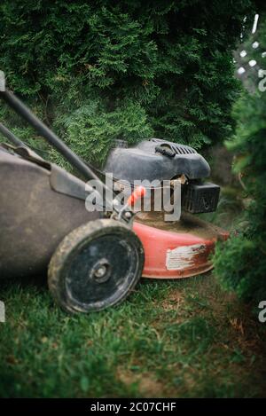 Rasenmähen läuft in der Nähe des Gartens. Stockfoto