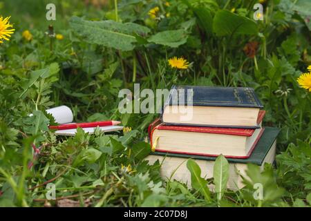 Notizblock, Bleistift und alte Bücher auf dem grünen Gras Stockfoto