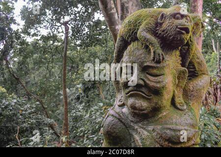 Statue eines Affen, der auf einem menschlichen Kopf sitzt, der von Moos bedeckt ist, im Affenwald Sacret in Ubud Bali Indonesien Stockfoto